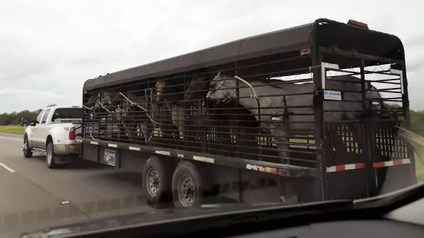 Evacuación