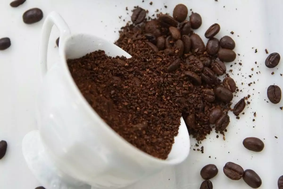 Pausa Café