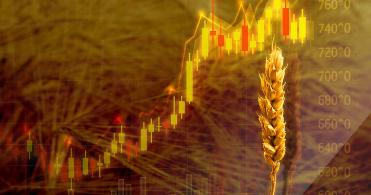 the landscape is "Dark" for the economy, especially in food, says IMF the landscape is "Dark" for the economy, especially in food, says IMF
