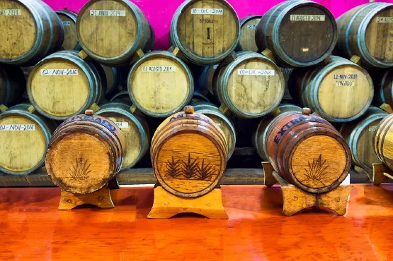 barricas de tequila