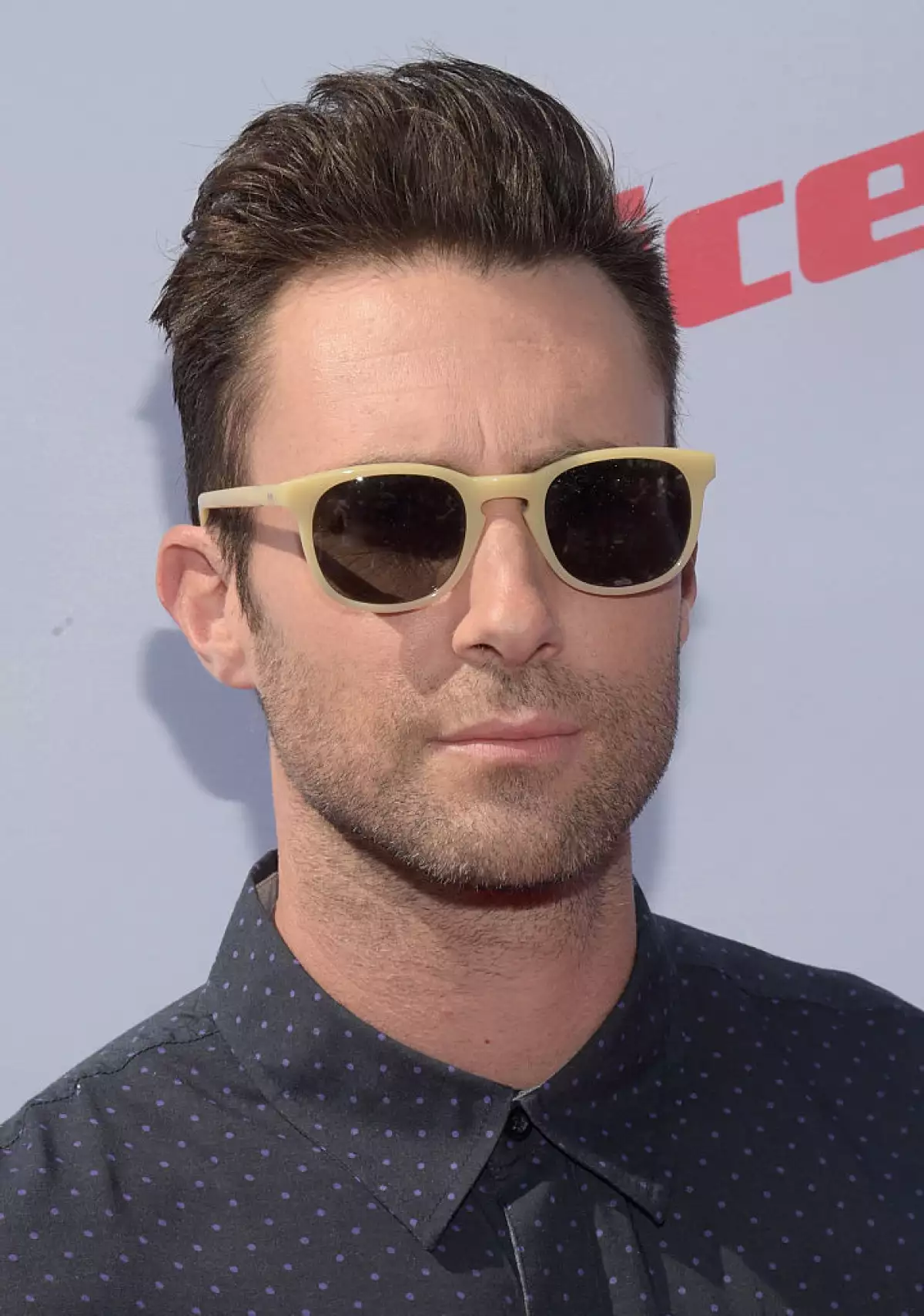 ADAM LEVINE