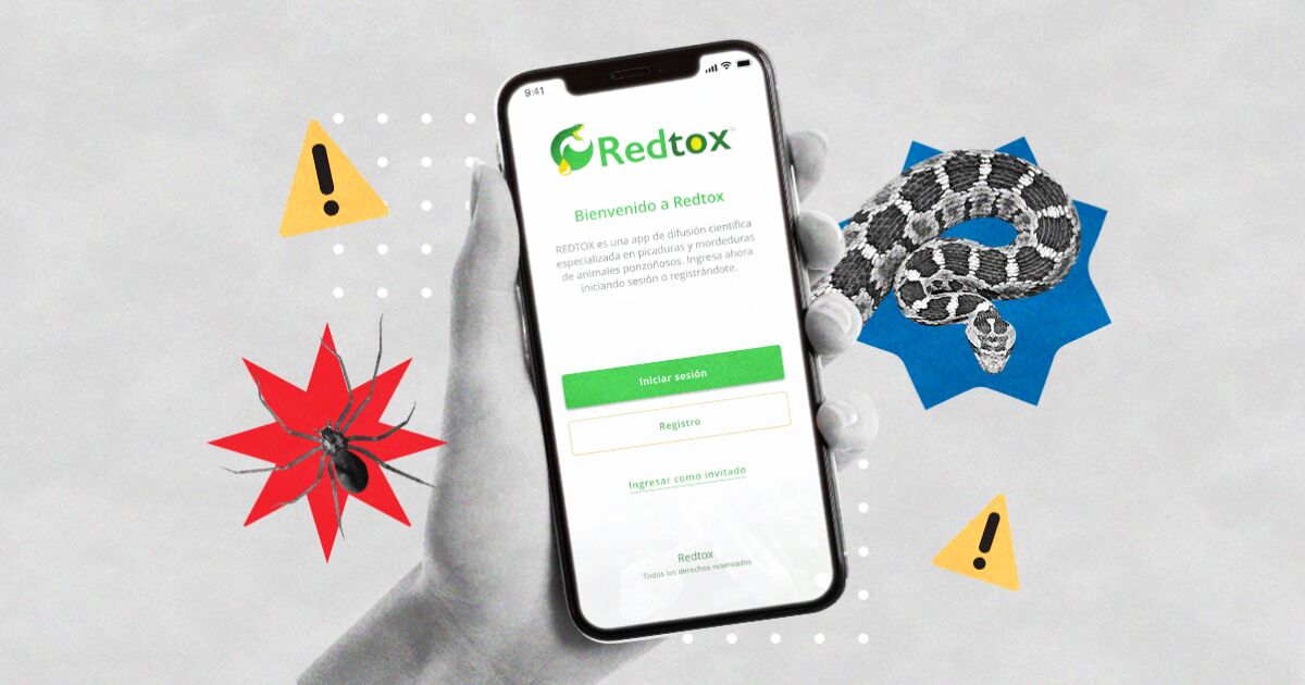 What to do in case of a spider bite? Redtox, the app that tells you how to react What to do in case of a spider bite? Redtox, the app that tells you how to react