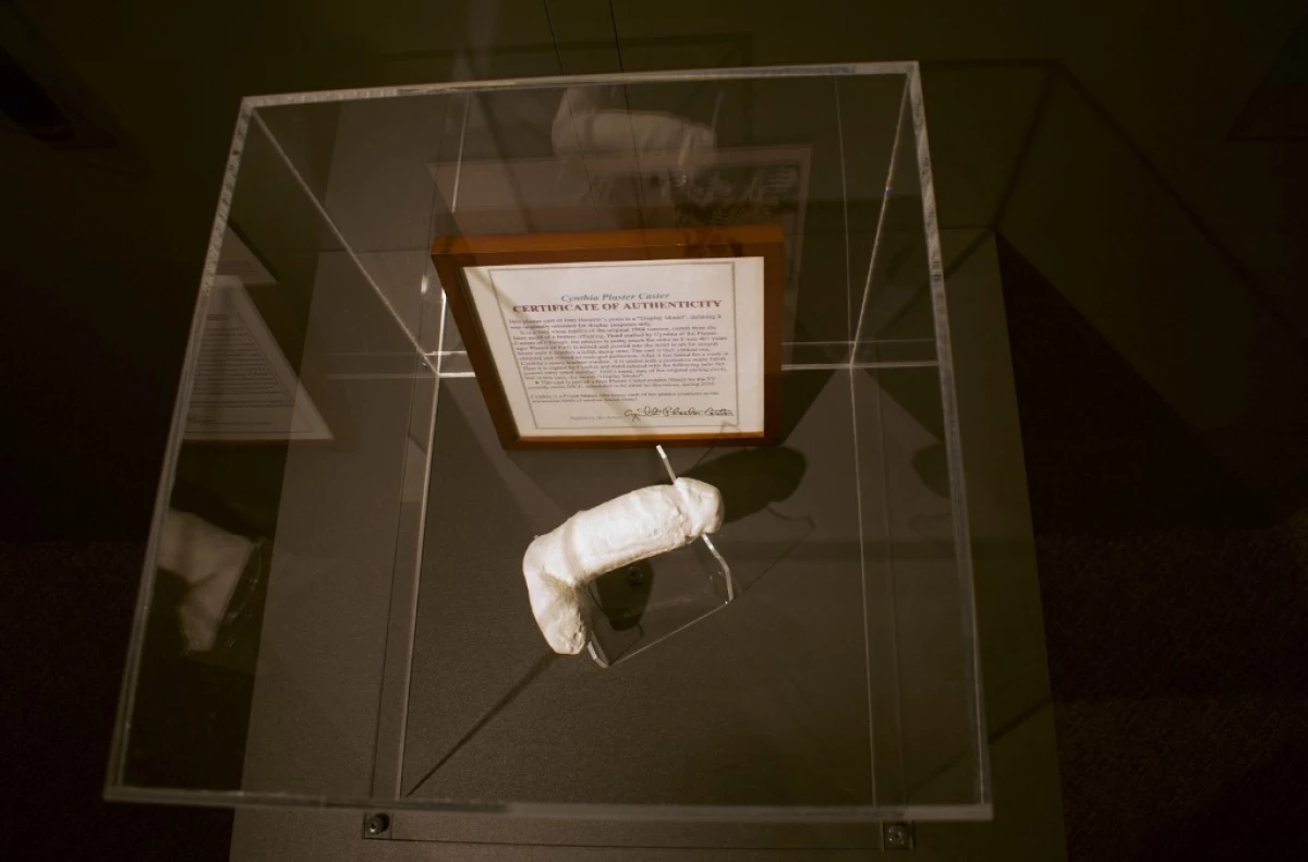 Cast of Jimi Hendrix's penis joins museum collection Jimmy Hendrix