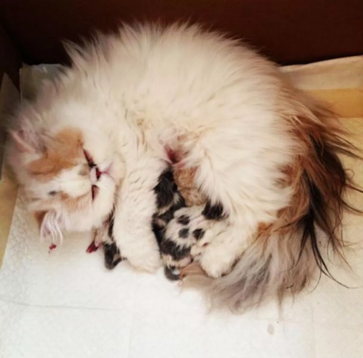 Ana Serradilla se despide de Berta con esta foto.