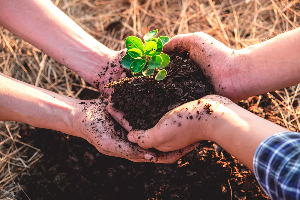 (Foto: Shutterstock)