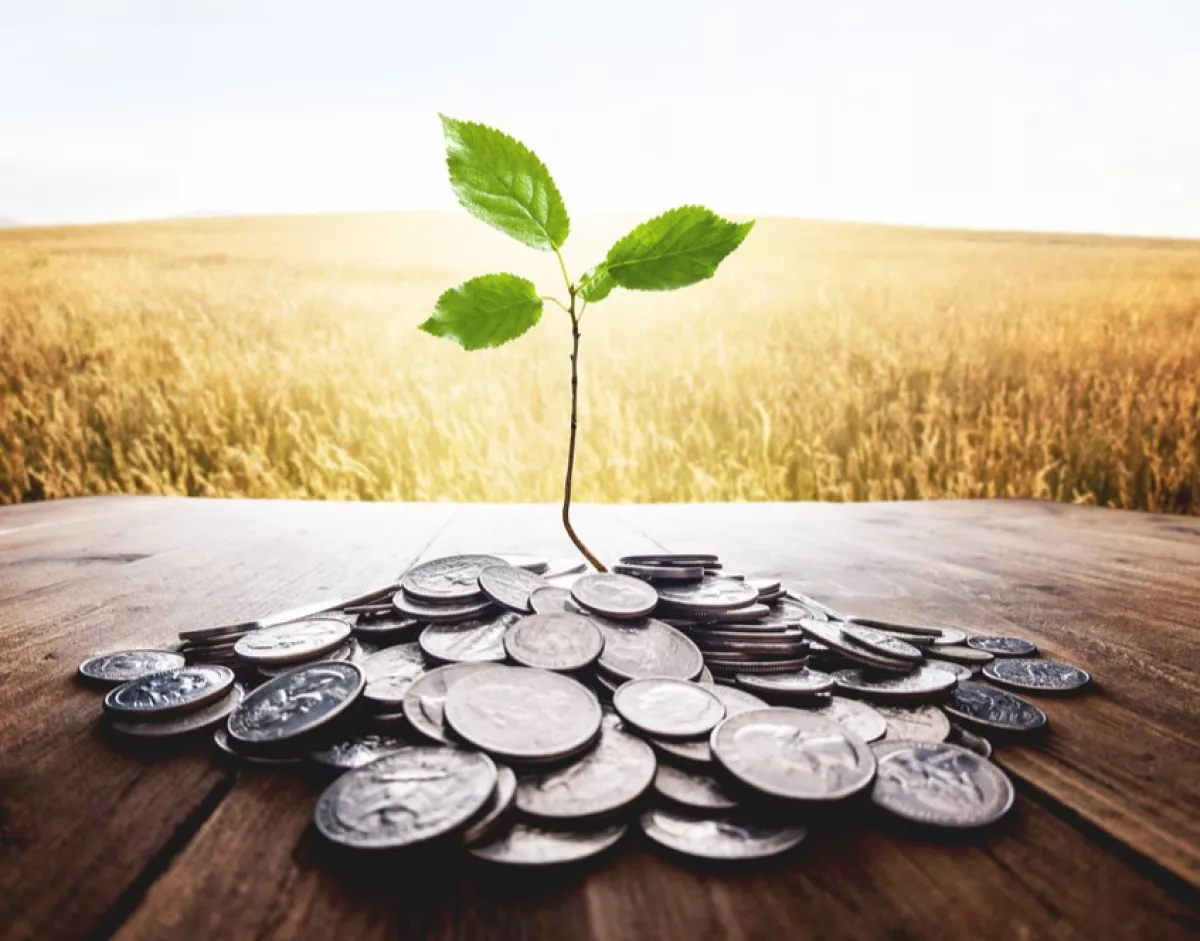 Creación de valor mediante la inversión en sostenibilidad