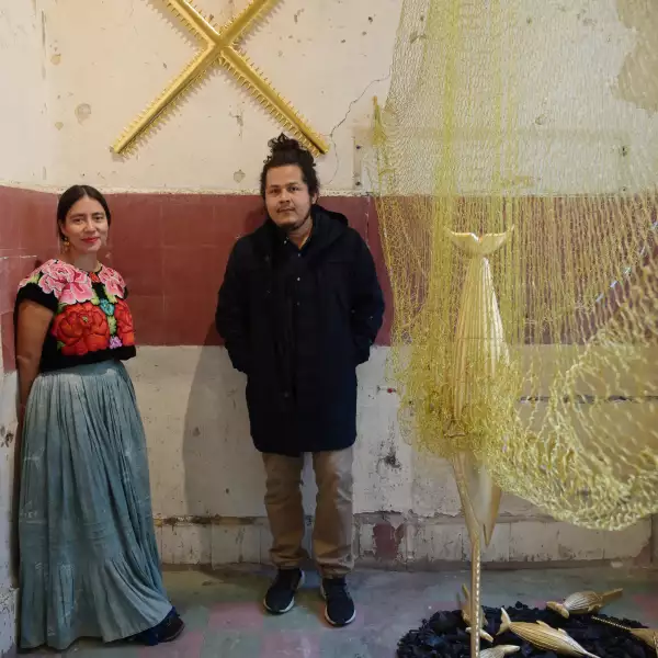 archipi-lago-abre-un-a-o-m-s-sal-n-acme