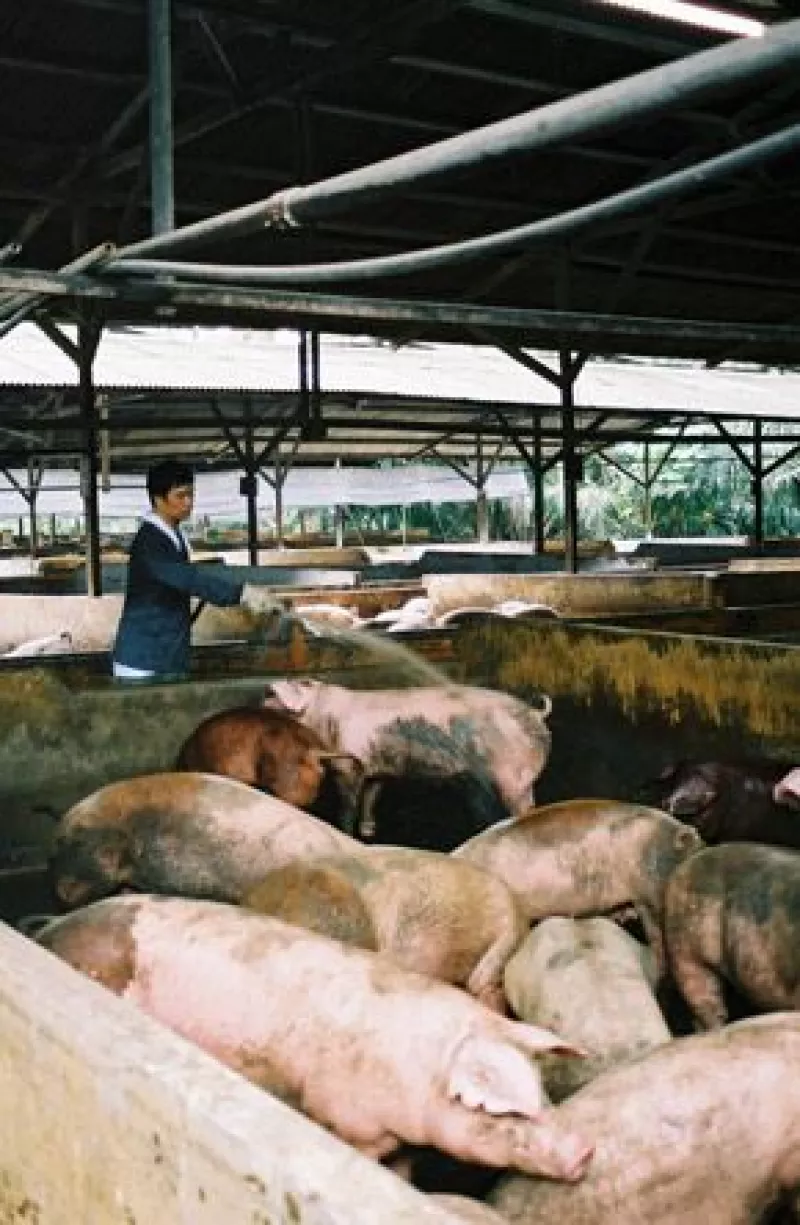 Si te encuentras aburrido por no poder salir de casa debido a la influenza porcina que padece nuestro país, no te preocupes, te damos algunas opciones para ver en televisión.