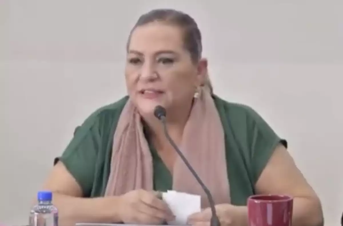 Guadalupe Taddei en conferencia de prensa. (Foto: transmisión INE)