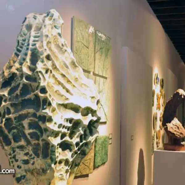 Exposición Piedra Cometa de David Gerstein