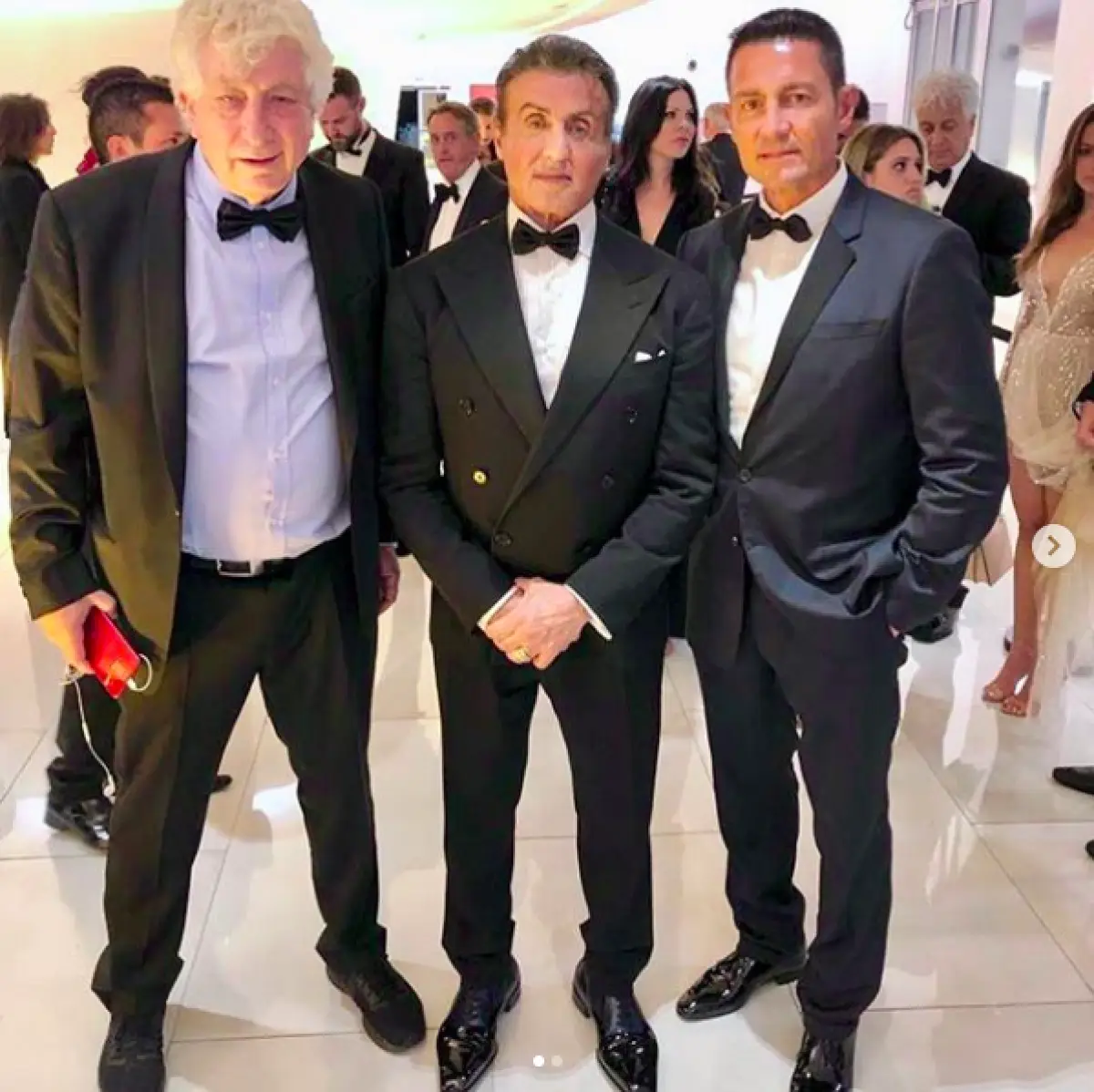 STALLONE.png