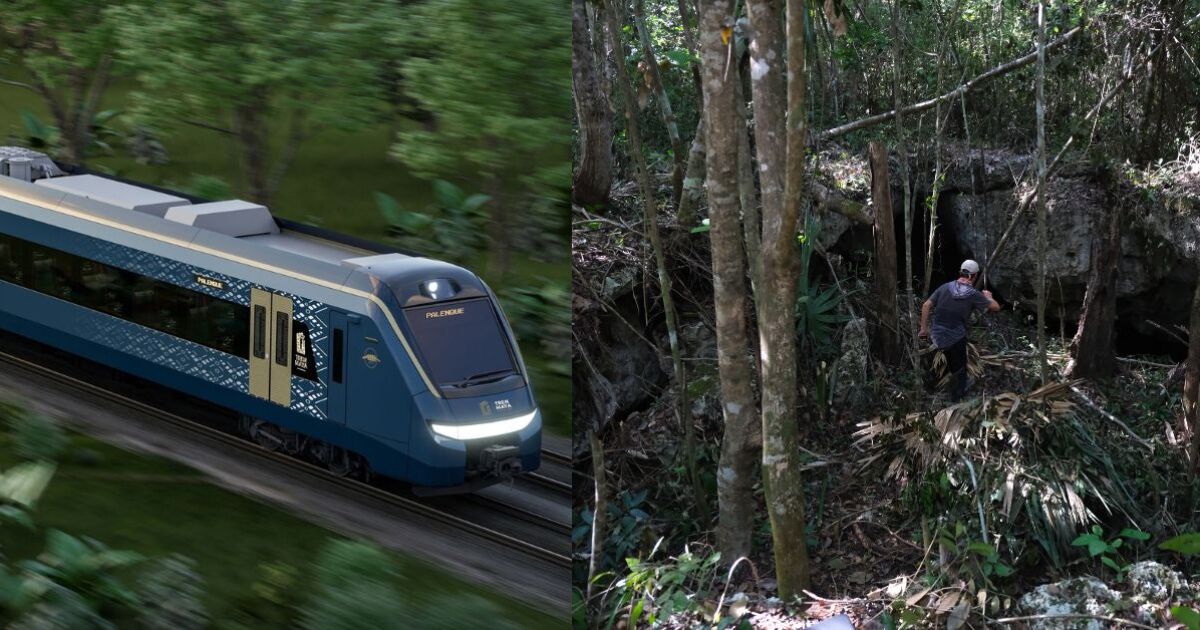 El Tren Maya se lleva la selva en la Pen&iacute;nsula de Yucat&aacute;n