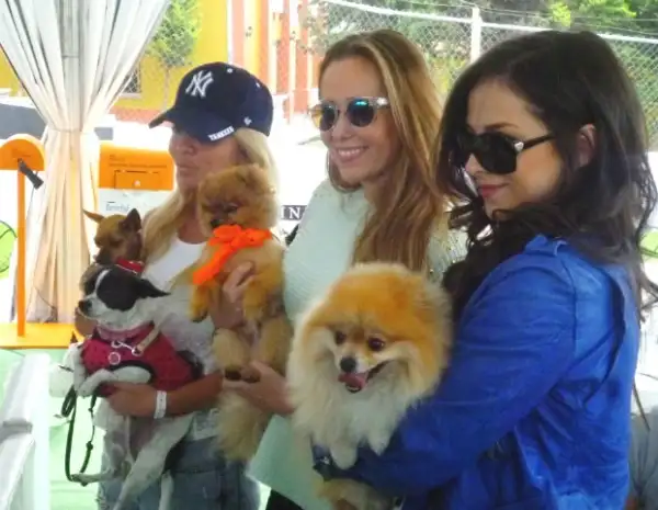 Paty y Hámster convivieron con otras dueñas y sus perritos.