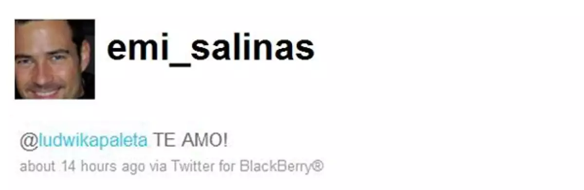 La actriz y el hijo del ex presidente de México, Carlos Salinas de Gortari, se intercambiaronla frase "te amo" en la famosa red social.