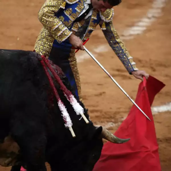 Corrida de Toros 15/02
