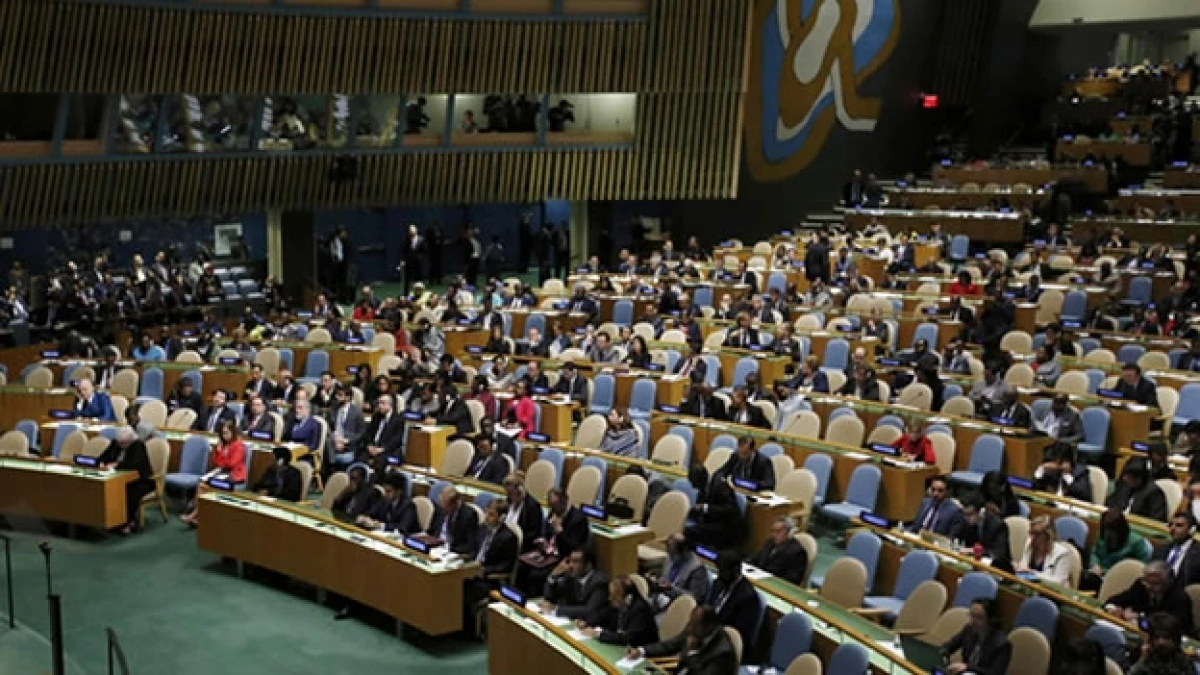 onu_asamblea