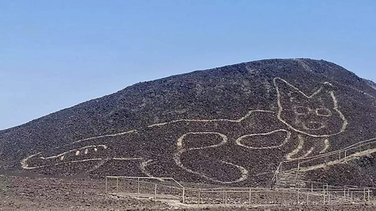 gato nasca peru