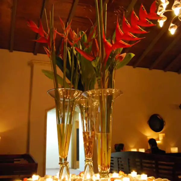 Boda Daniela Aranda y Alberto Donnadieu