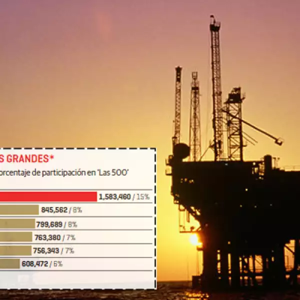 El sector de petróleo y gas fue el más grande en 2011 con un porcentaje de participación en el ranking del 15%.