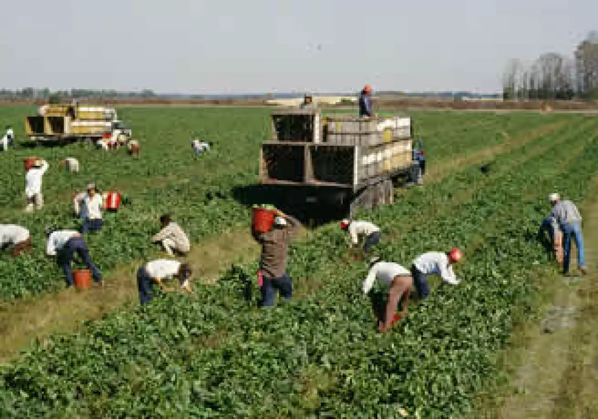 Los inmigrantes mexicanos en EU han disminuido por la crisis en ese país y la xenofobia. (Foto: Jupiter Images)