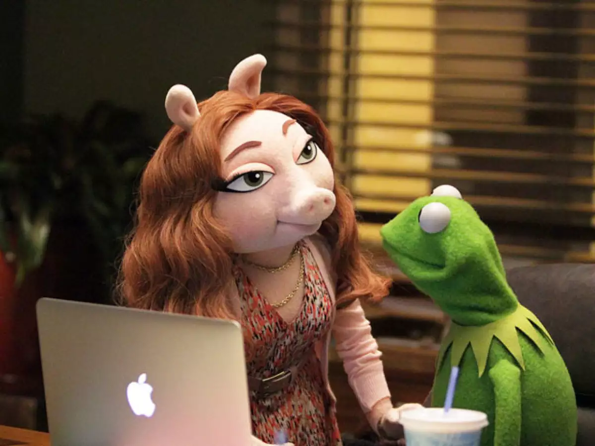 Después del mediático anuncio de la ruptura entre Miss Piggy y el que fuera su eterna pareja, ahora se da a conocer que una nueva cerdita habría comenzado un noviazgo con la rana de The Muppets.