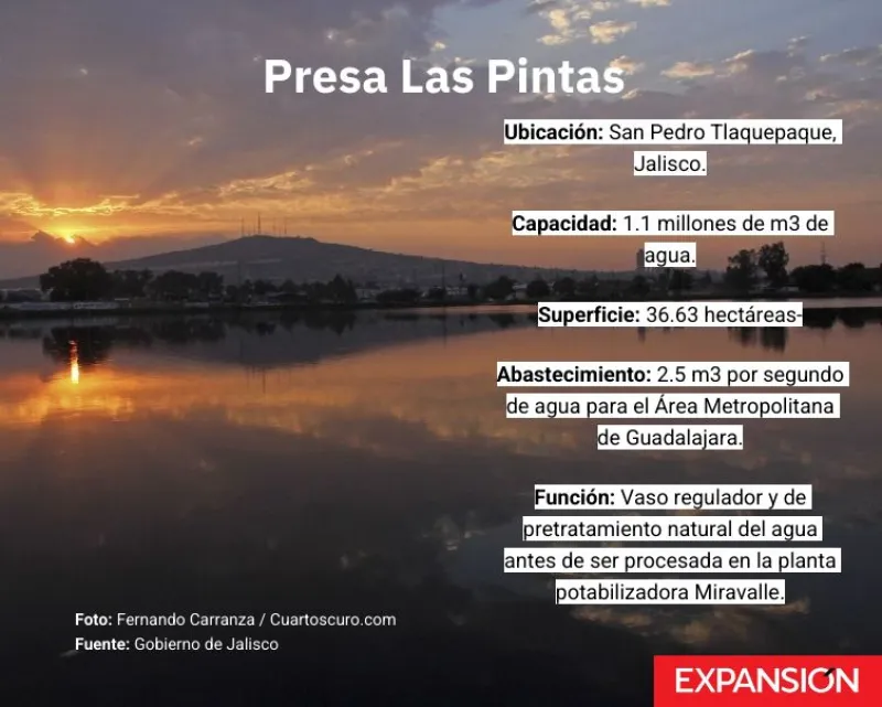 Datos sobre la Presa Las Pintas en Jalisco.