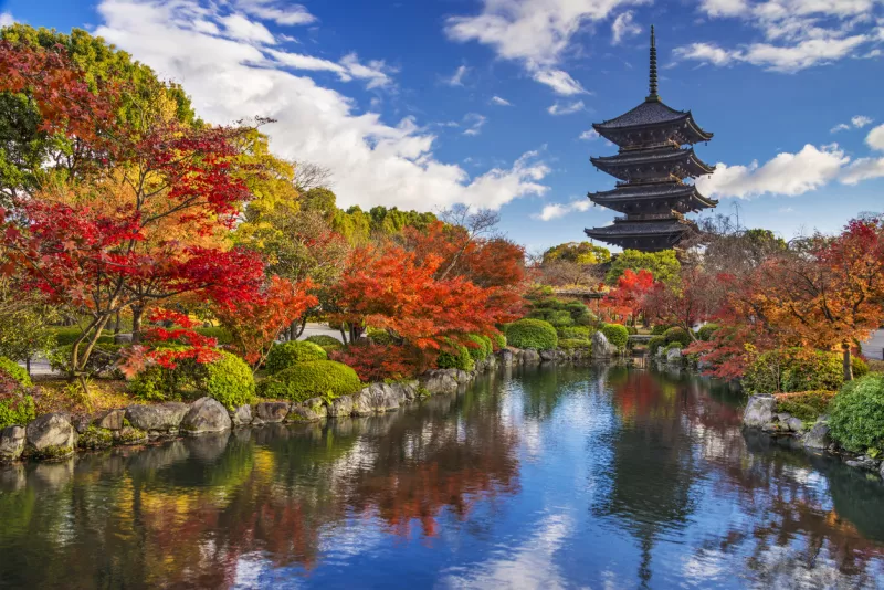 Los mejores spots para disfrutar del momiji en Kioto