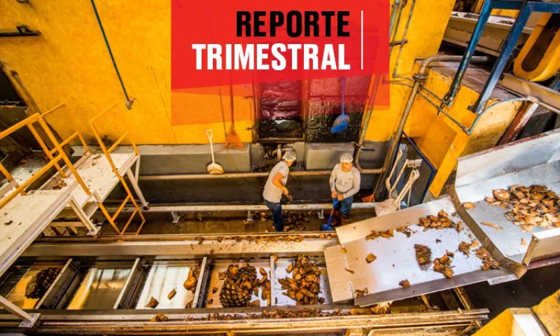 Cuervo reporte financiero