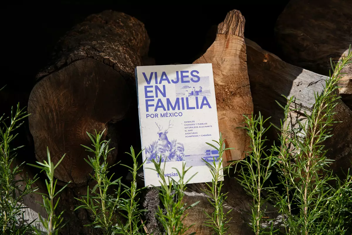 Viajes-en-familia