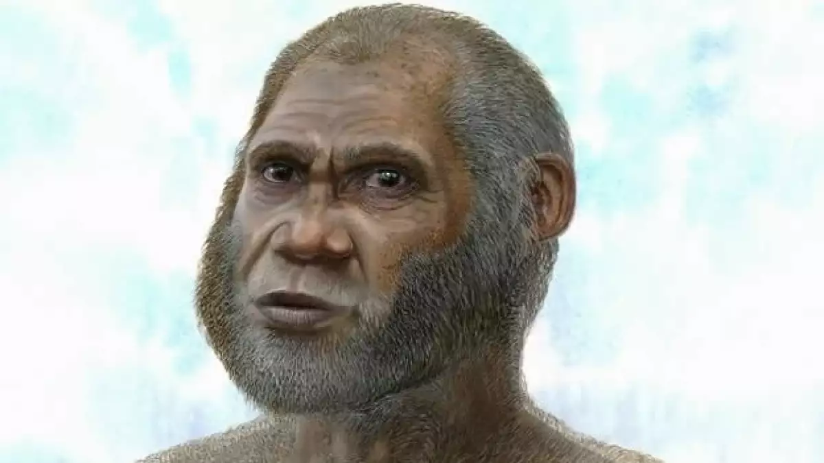 antropologia