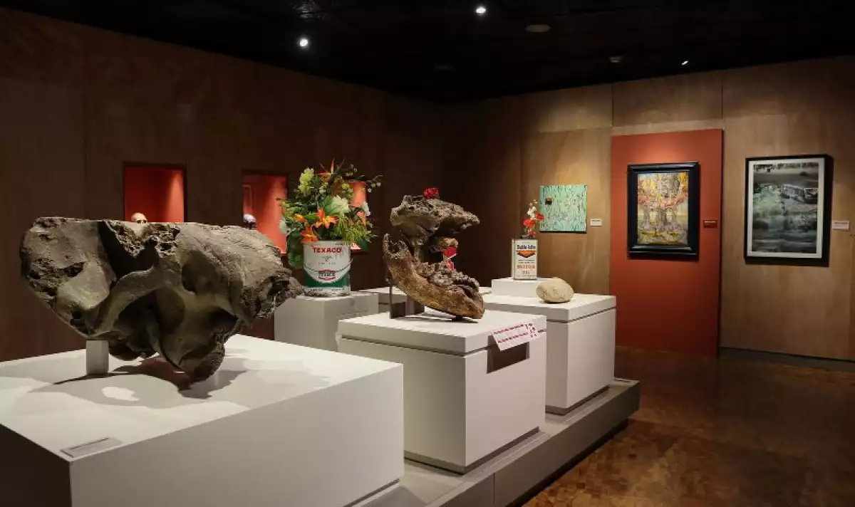 foto de la exposición Imaginar el fin de los tiempos: historias de aniquilación, apocalipsis y extinción