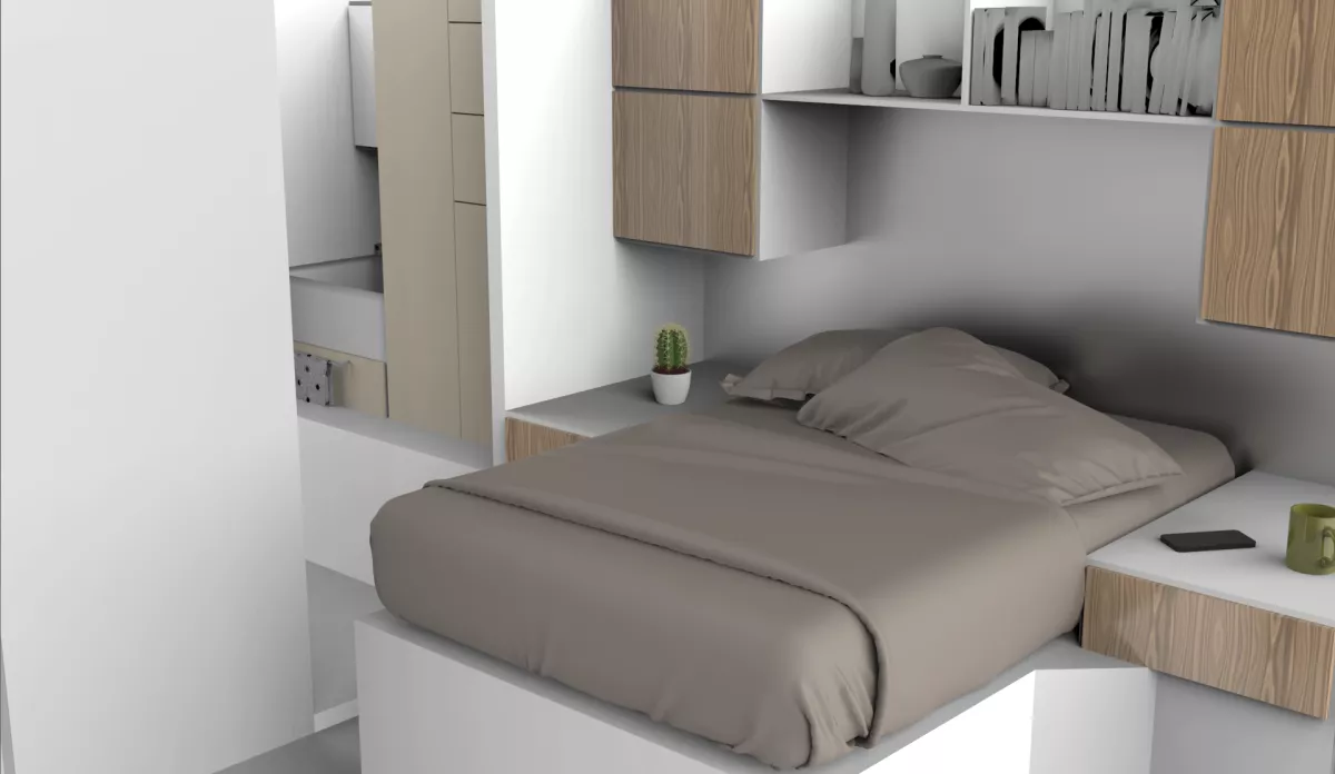 Mini vivienda UNAM VIS (2).png