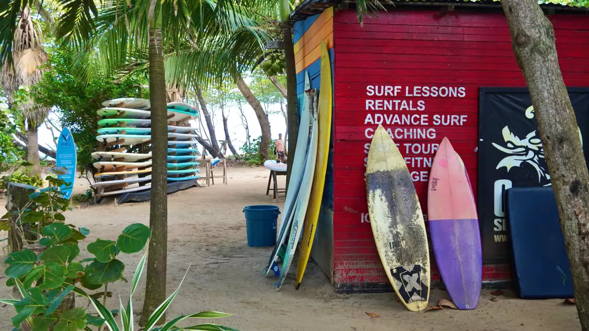 Cabarete,Dominican,Republic,,Jan,15,2025,Surfboards,Lined,Up,At