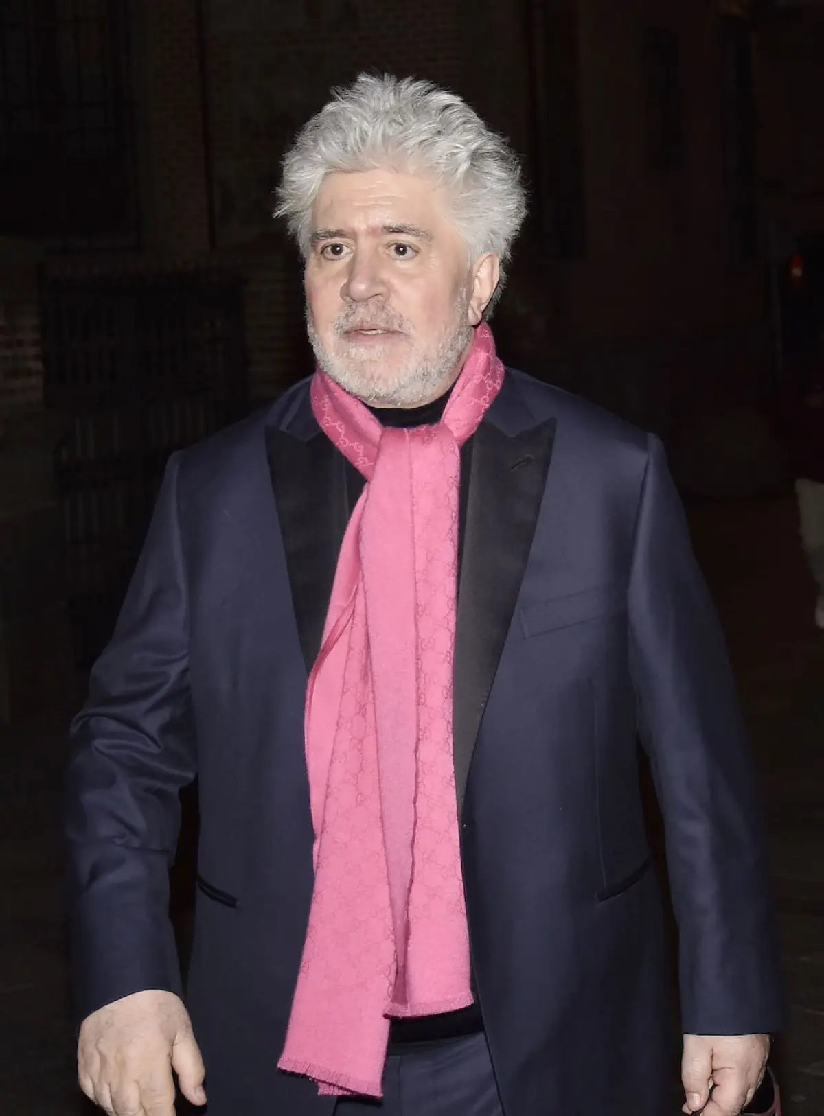 Premiere Of 'Dolor Y Gloria'- After Party