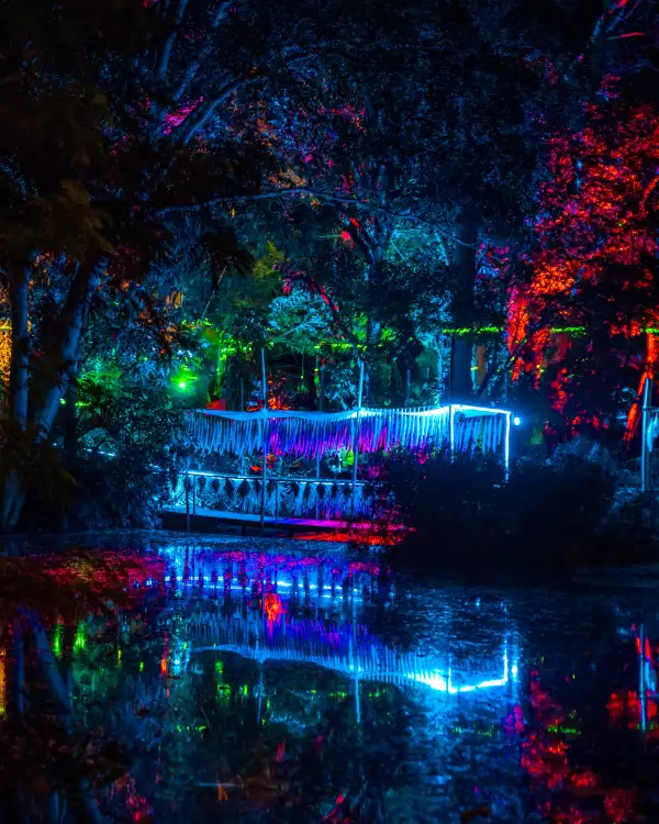 bahidora.jpg