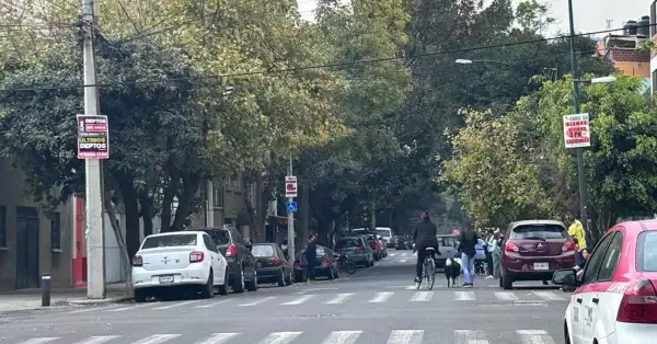 sismo-benito-juarez-7-diciembre.jpg