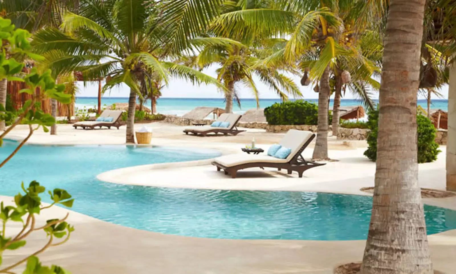 Las 41 villas privadas se encuentran inmersas en el ambiente de la selva de helechos, palmeras, árboles de guayaba y una familia de monos araña que habitan allí.