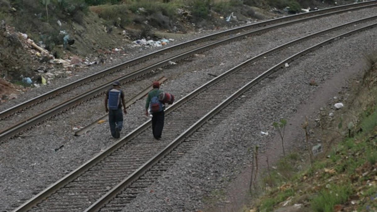 migrantes 8