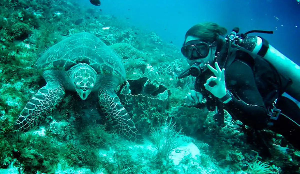 Ambos disfrutaron de su contacto con la naturaleza y sus seres vivientes.