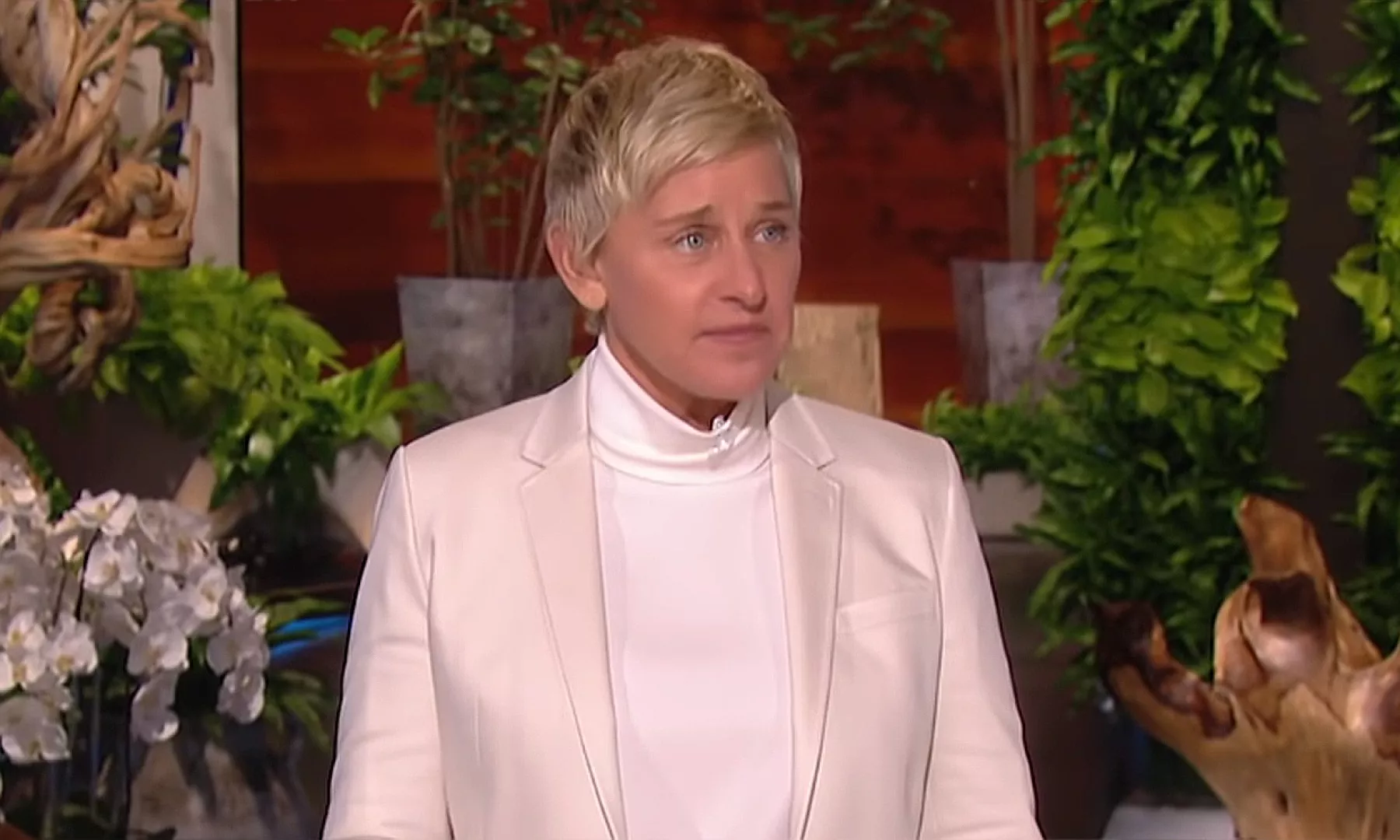 ellen1-t.jpg