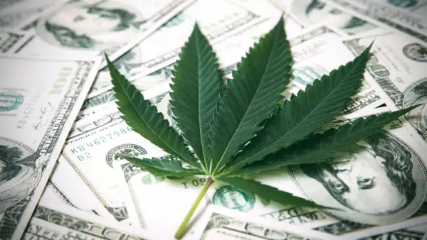 Marijuana Leaf and US Dollar Banknotes. Marijuana business concept. CBD Medical Marijuana Dollar THC Cannabis.