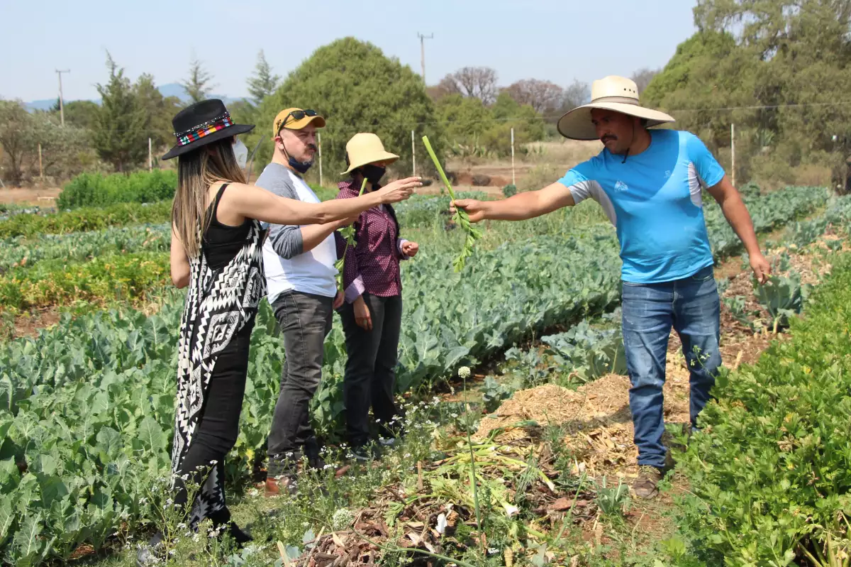 Experiencia Arca Tierra
