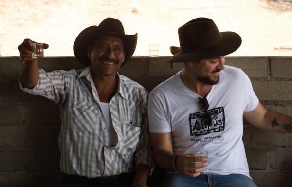 Mezcal Alipús