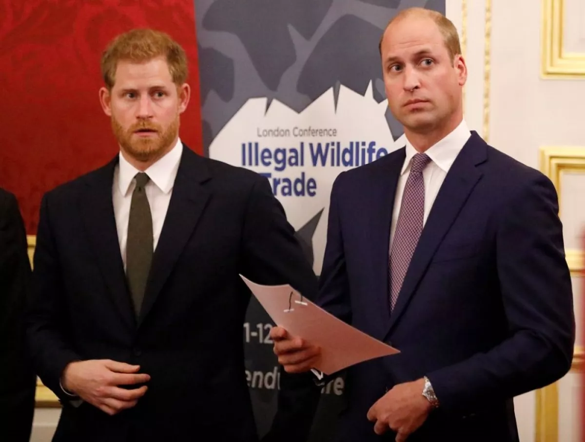 Príncipe Harry y el príncipe William 
