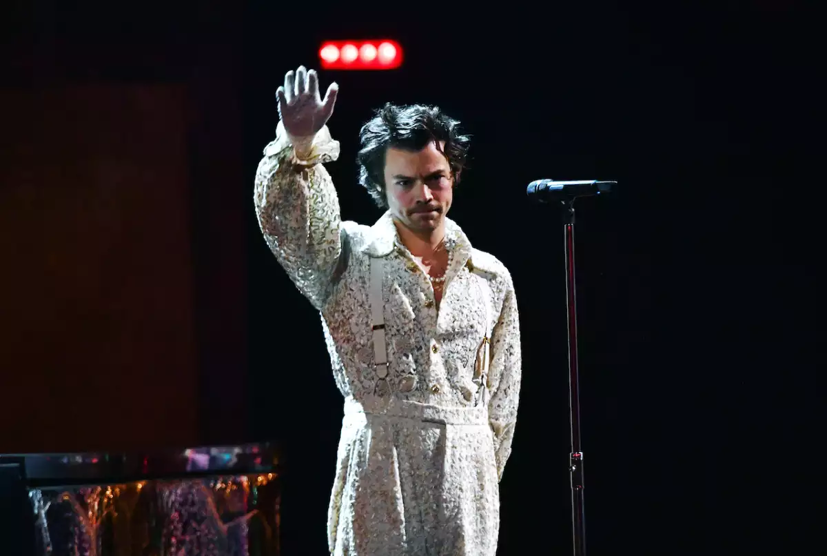harry-styles- fan-pollo-vegetariano