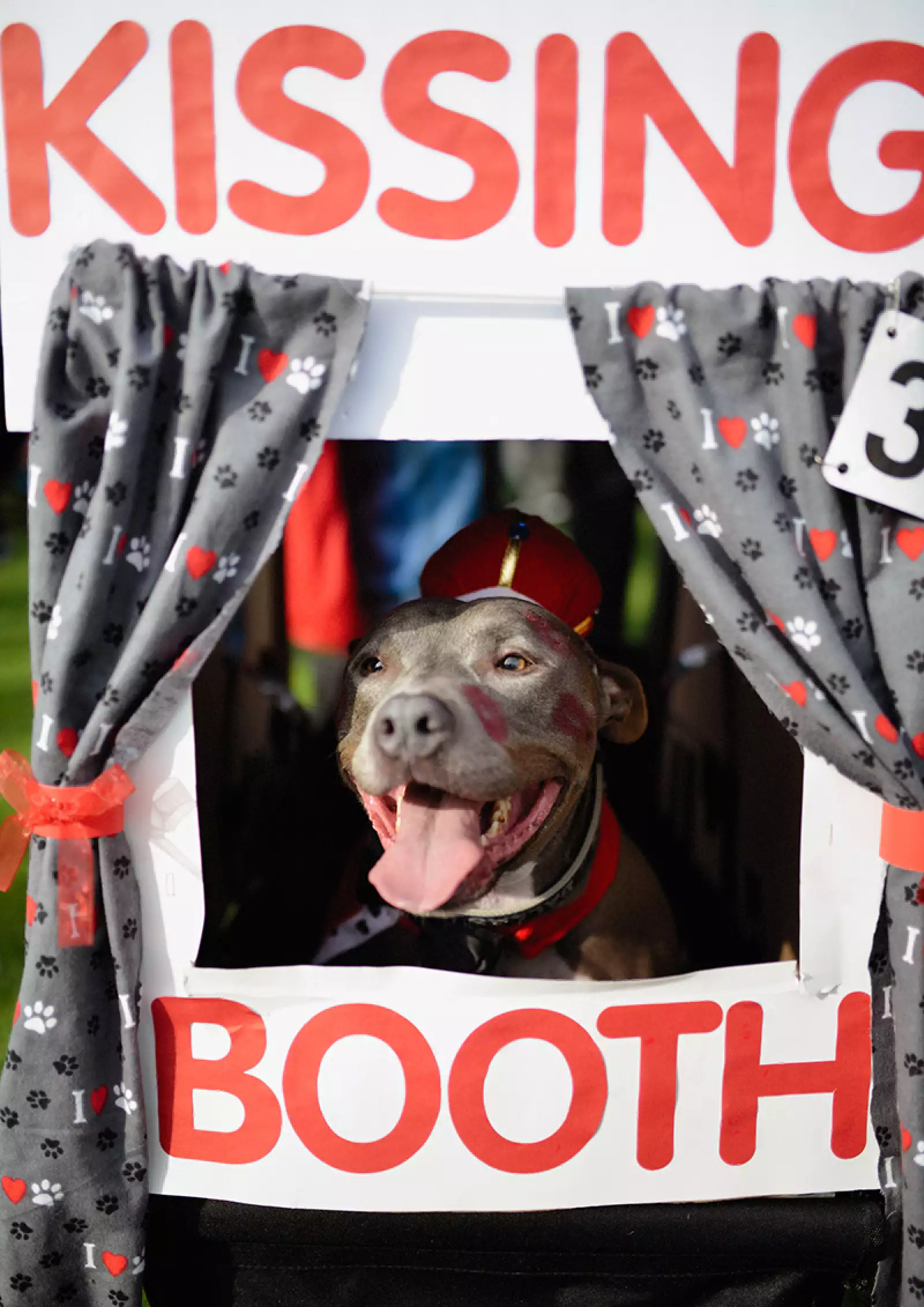 Haute Dog Howl'oween Parade 2018