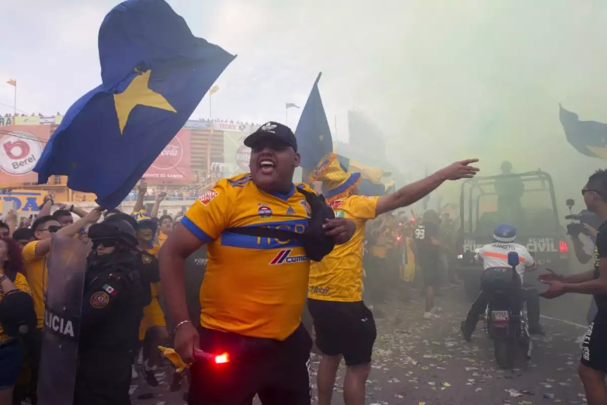 TIGRES