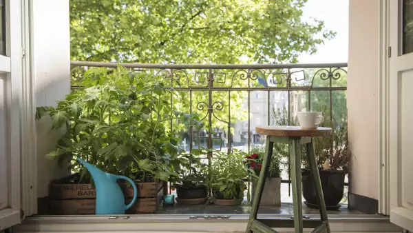 Urban Gardening