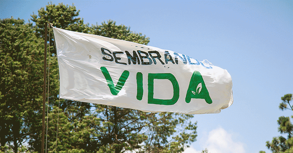 sembrando vida