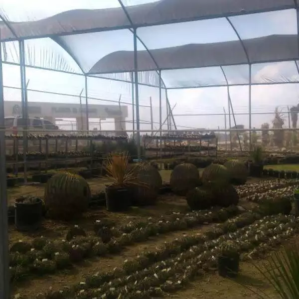 Planta de Cementos Fortaleza